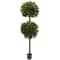 Nearly Natural; 6ft. Potted Sweet Bay Double Ball Topiary Plant; Category:Trees & Floor Plants; Image:2